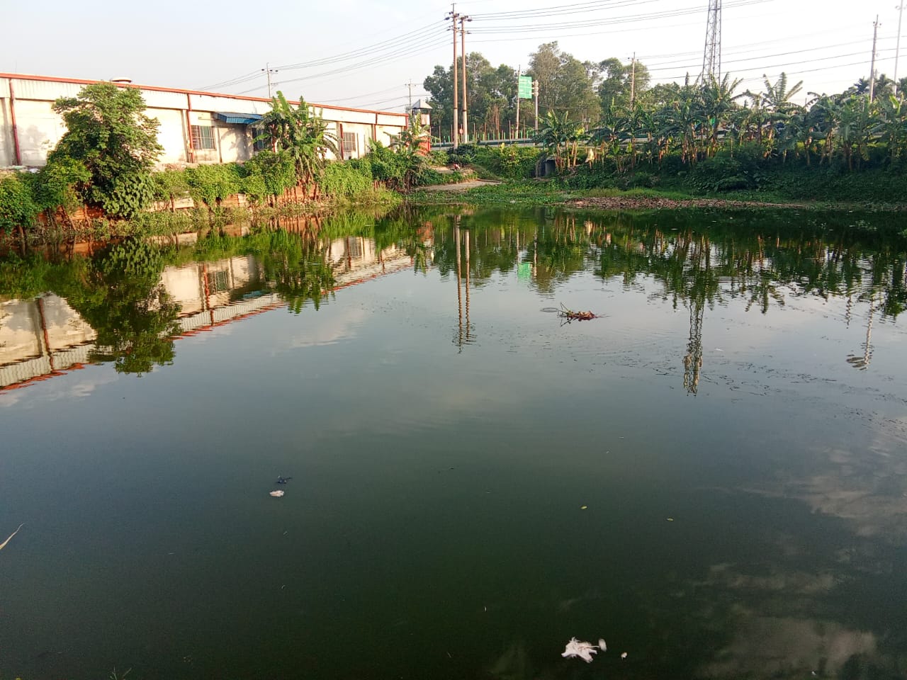 পূবাইলে গভীর রাতে সরকারি পুকুরে মাছ চুরি, ভাইরাল ভিডিও ঘিরে তোলপাড়