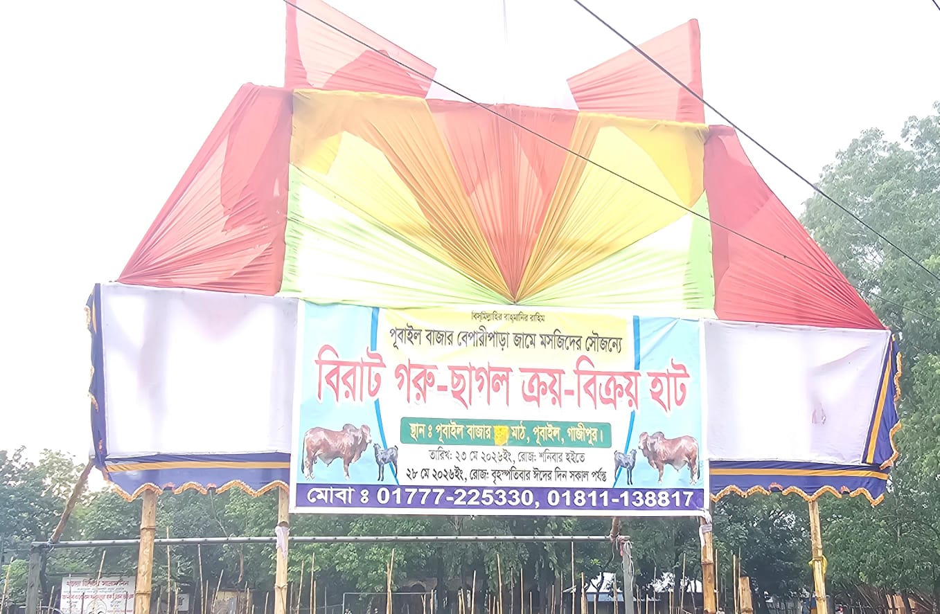 প্রস্তুত ঐতিহ্যবাহী পূবাইল বাজার পশুর হাট কাল থেকে কেনাবেচা শুরু